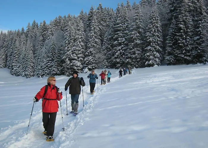 Meuble De Tourisme La Jaulipiere